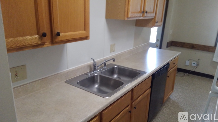 A kitchen with a sink and cabinets.
