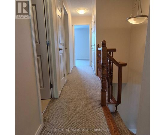 1046 REDTAIL PRIVATE 2 Beds Condo, Home, Townhouse for Rent - Photo gallery 4