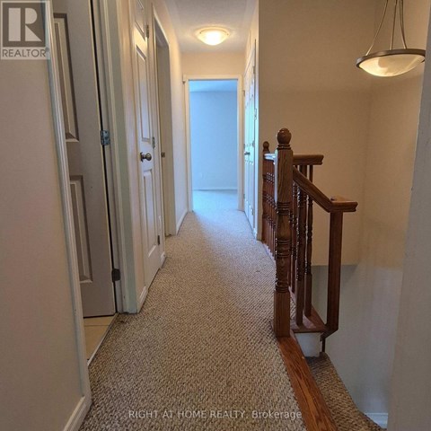 1046 REDTAIL PRIVATE 2 Beds Apartment for Rent