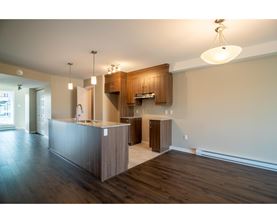 A kitchen with wooden cabinets and a counter.