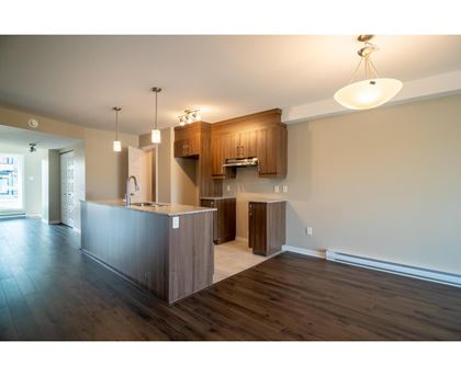A kitchen with wooden cabinets and a counter.