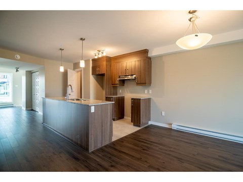 A kitchen with wooden cabinets and a counter.
