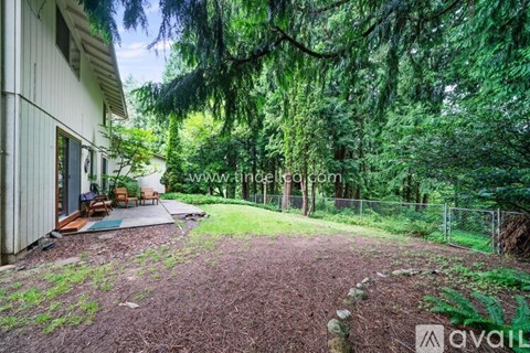 A house with a backyard surrounded by trees.