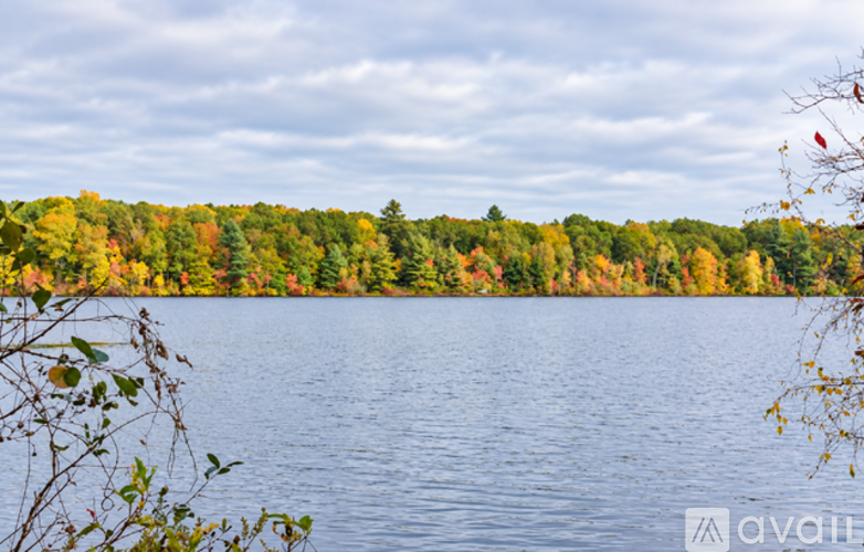 A lake surrounded by trees with autumn leaves.