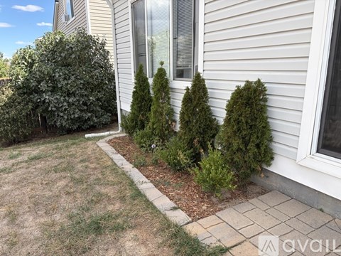 Three green trees are planted in a garden bed in front of a house.