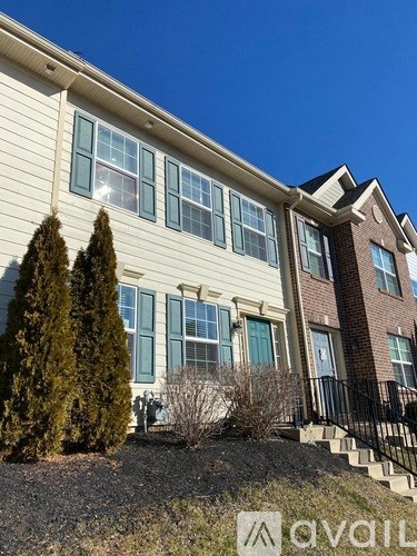245 Peach Street 3 Beds Apartment for Rent