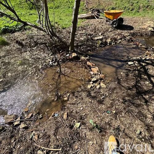 A yellow wheelbarrow is placed on the ground near a tree.
