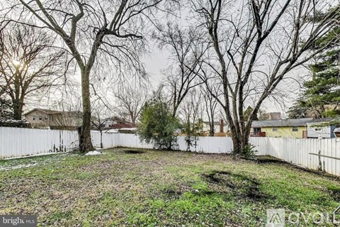 A backyard with a white fence and leafless trees.
