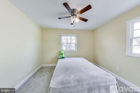 A bedroom with a bed, ceiling fan, and two windows.