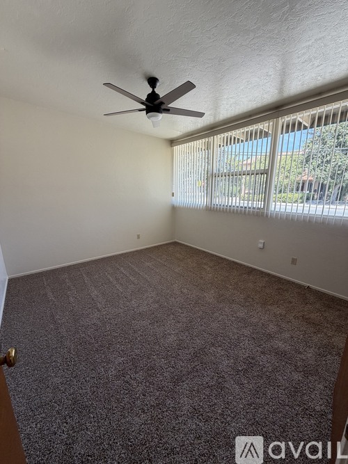 602 South Court Street 1 Apartment for Rent - Photo gallery 5
