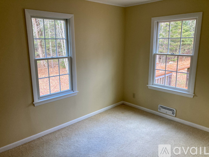 Two windows in a room with carpeted floor and beige walls.