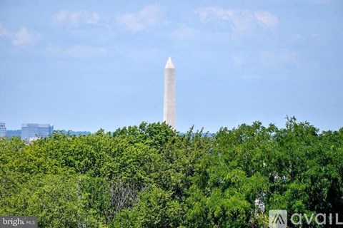 The Washington Monument stands tall above the trees.