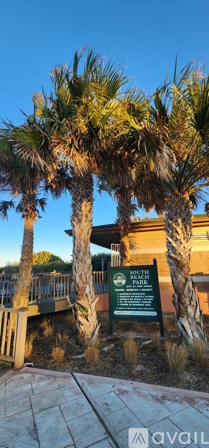 A palm tree stands in front of a sign that says "Beach Park".