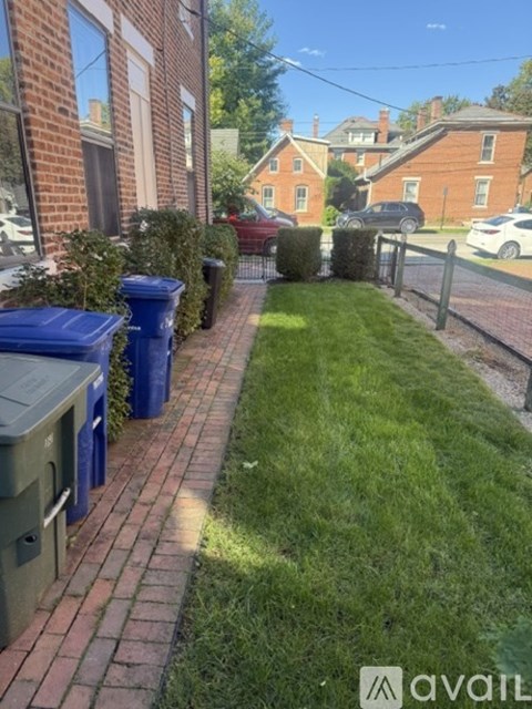 A residential street with blue bins and green grass.