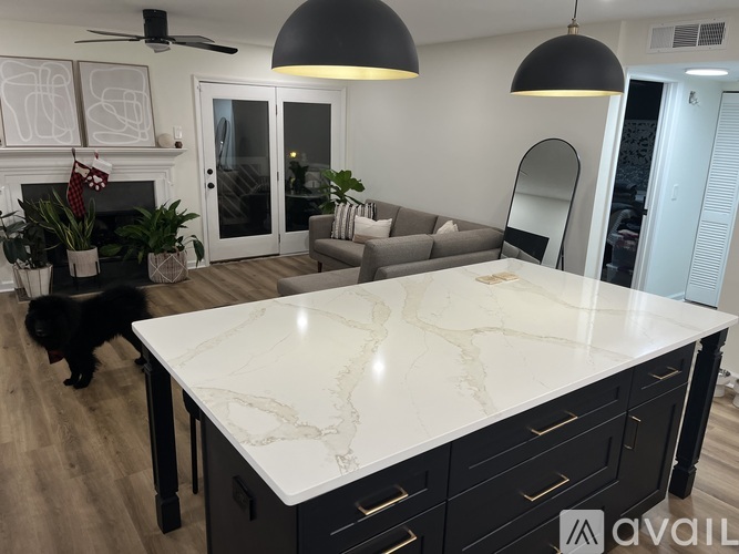 330 McGill Place Northeast 1 Condo for Rent - Photo gallery 3
