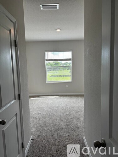 A hallway with a carpeted floor and a window with a view of a grassy area.