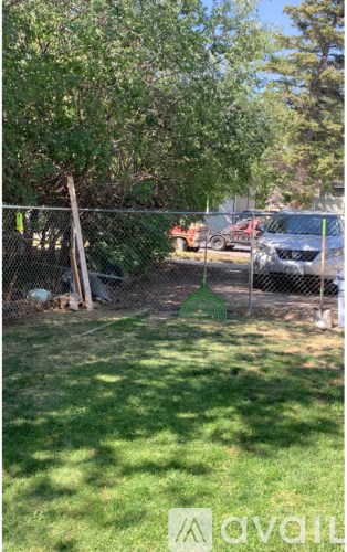 A yard with a fence and a tree.