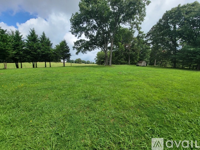 A grassy field with trees in the background and a cloudy sky.