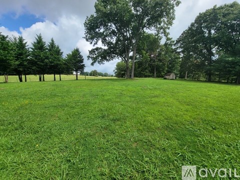 A grassy field with trees in the background and a cloudy sky.