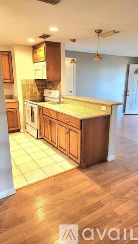 A kitchen with wooden cabinets and a countertop.