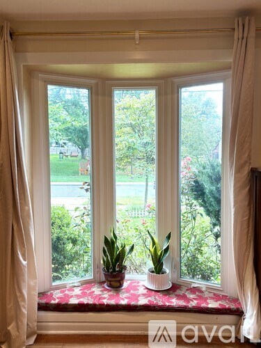 A window with a view of a green lawn and trees.