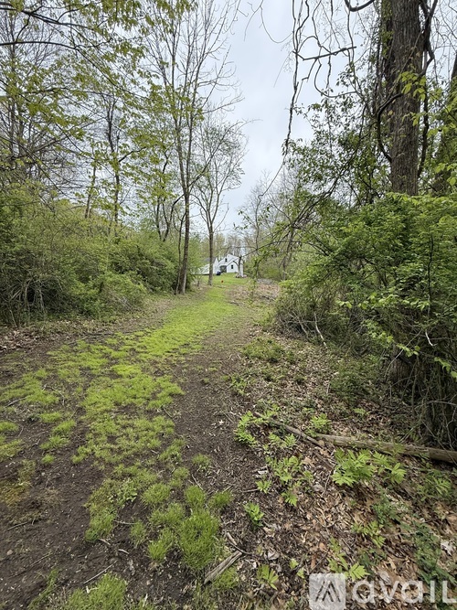 1025 Shewville Rd 5 Beds Single Family Home for Rent - Photo gallery 3