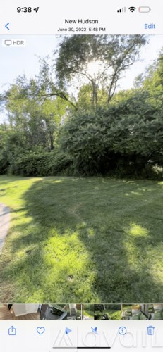 A grassy area with trees in the background.