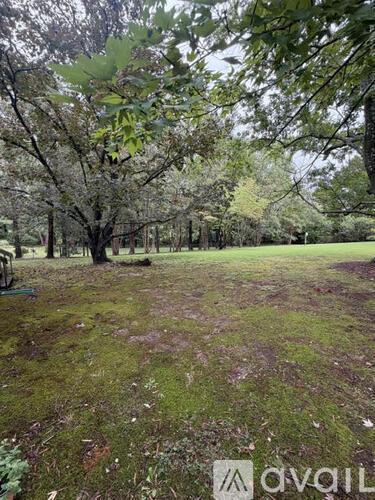 A grassy field with trees in the background.