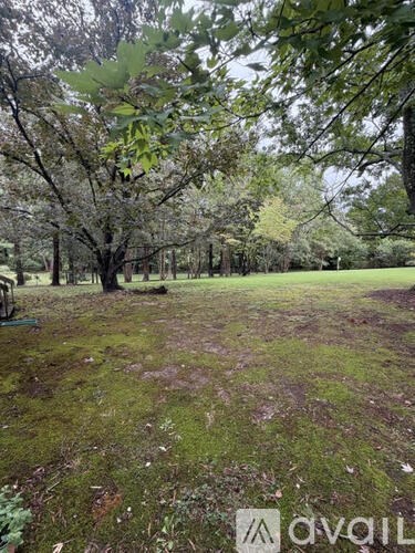 A grassy field with trees in the background.