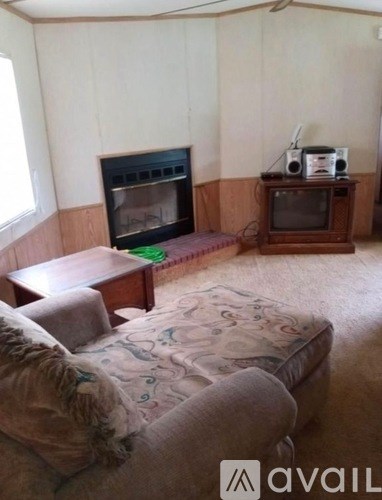 A living room with a fireplace and a television.