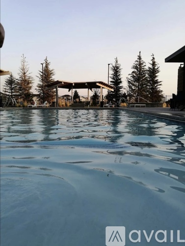 A pool with a reflection of trees and a building in the background.