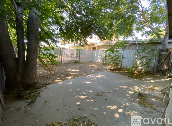 A backyard with a concrete patio surrounded by trees and a fence.