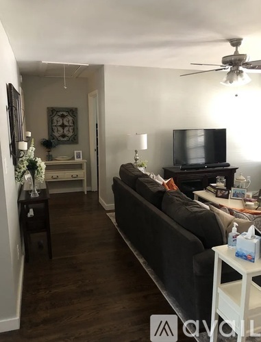 917 Hillsboro Drive 3 Beds Single Family Home for Rent - Photo gallery 4
