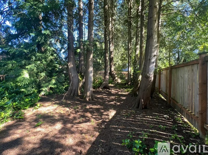 6225 129th Place Southeast 3 Beds Single Family Home for Rent - Photo gallery 4