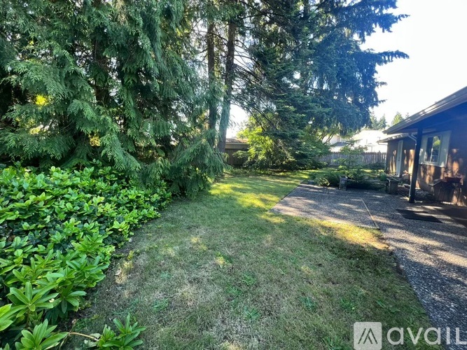 A backyard with a lawn, trees, and a house.