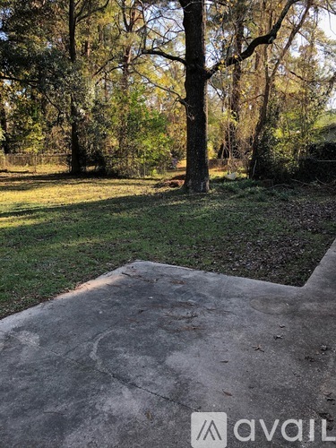 A concrete area surrounded by trees.