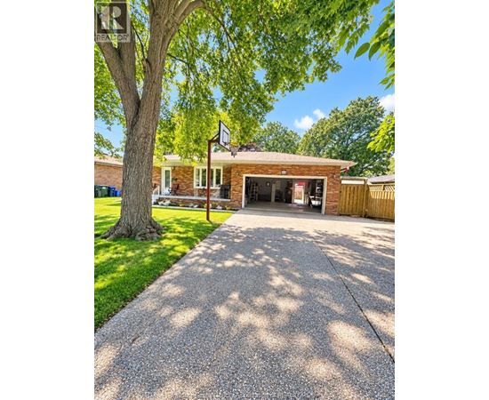 A house with a garage and a tree in front.