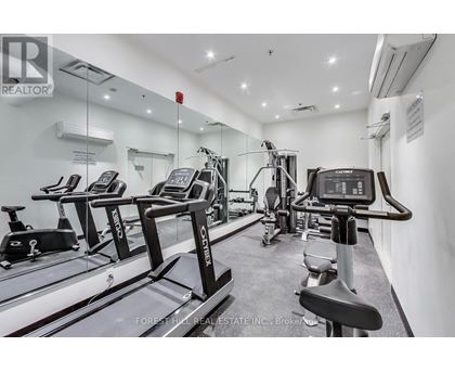 A gym with treadmills and exercise equipment.