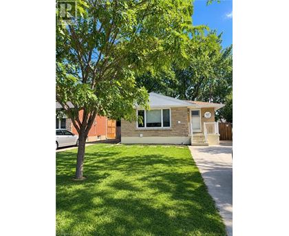 A house with a tree in front of it.