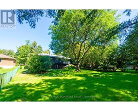 A lush green yard with a house and trees in the background.