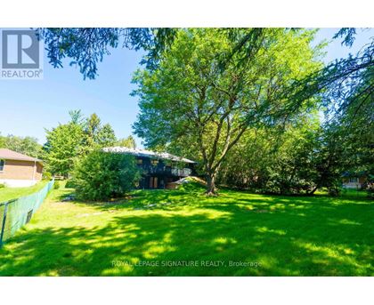 A lush green yard with a house and trees in the background.
