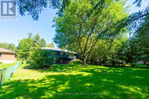 A lush green yard with a house and trees in the background.