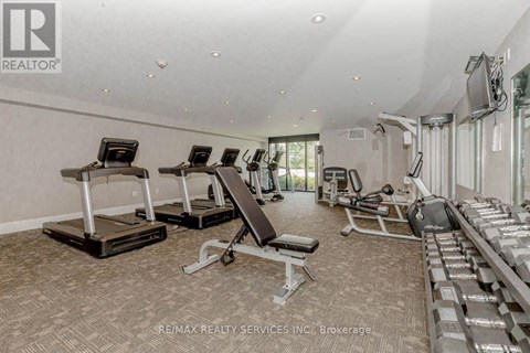 A gym with treadmills, weights, and exercise machines.