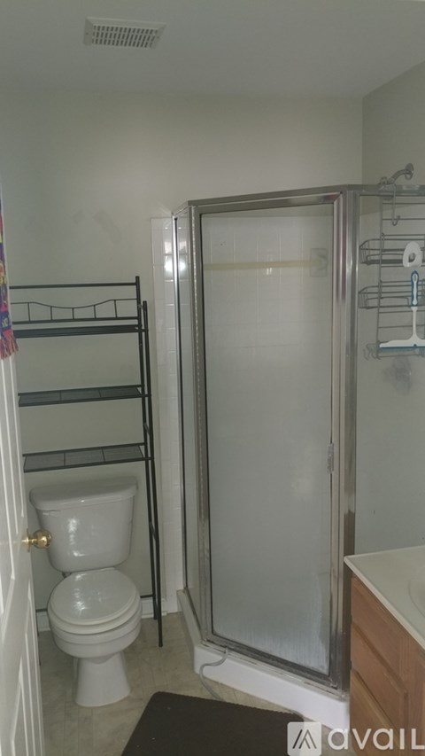 A bathroom with a toilet and a walk-in shower.