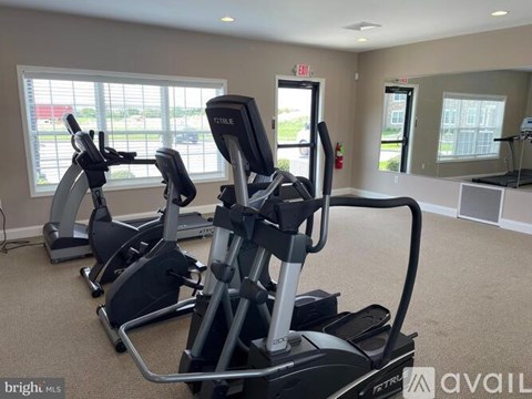 A gym with treadmills and elliptical machines.
