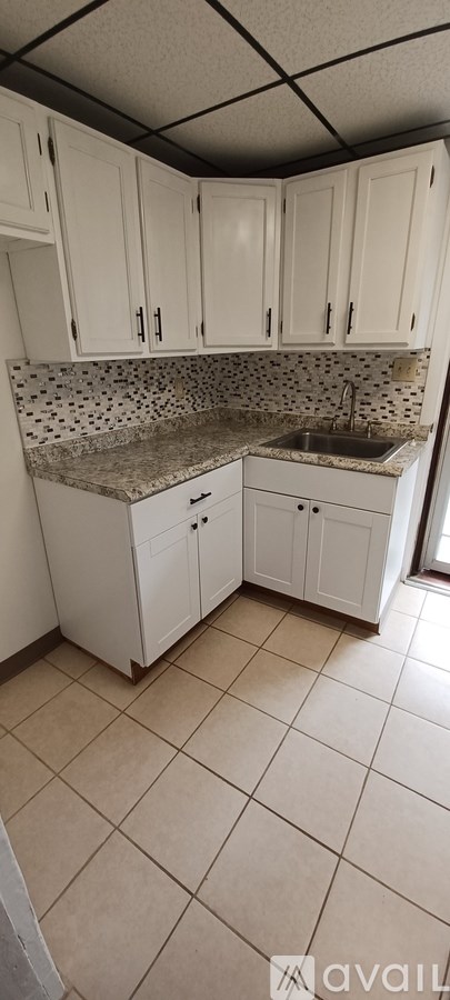 203 Merrimac Street 2 Beds Apartment for Rent