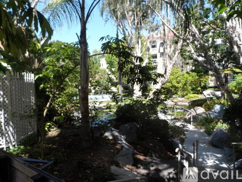 A view of a garden with trees and a fence.