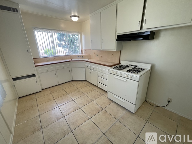 1114 E Wilson Ave 1 Apartment for Rent - Photo gallery 4