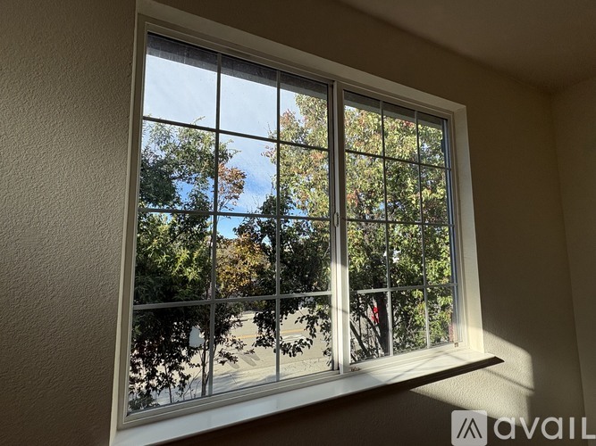 A window with a view of trees and a clear sky.