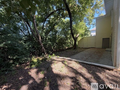 A backyard with a dirt path and trees.